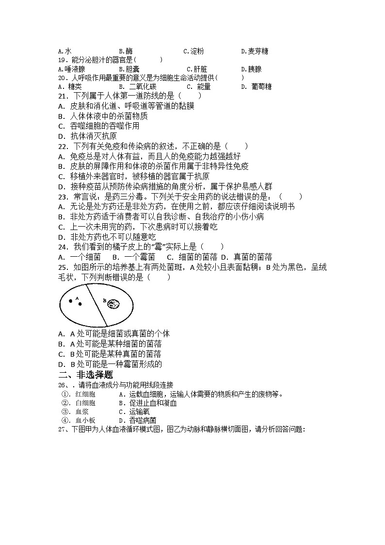 2023-2024学年人教版生物学七年级下册期末复习练习题（含答案）第2页