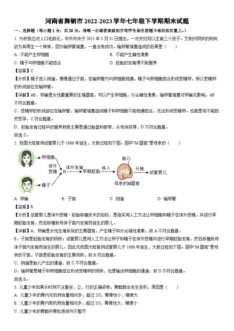[生物]河南省舞钢市2022-2023学年七年级下学期期末试题（解析版）第1页