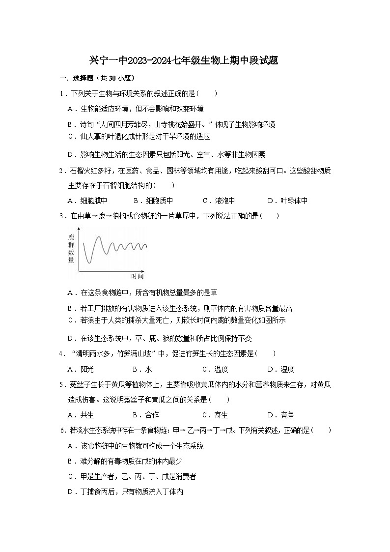 广东省兴宁市第一中学2023-2024学年七年级上学期期中生物试题01