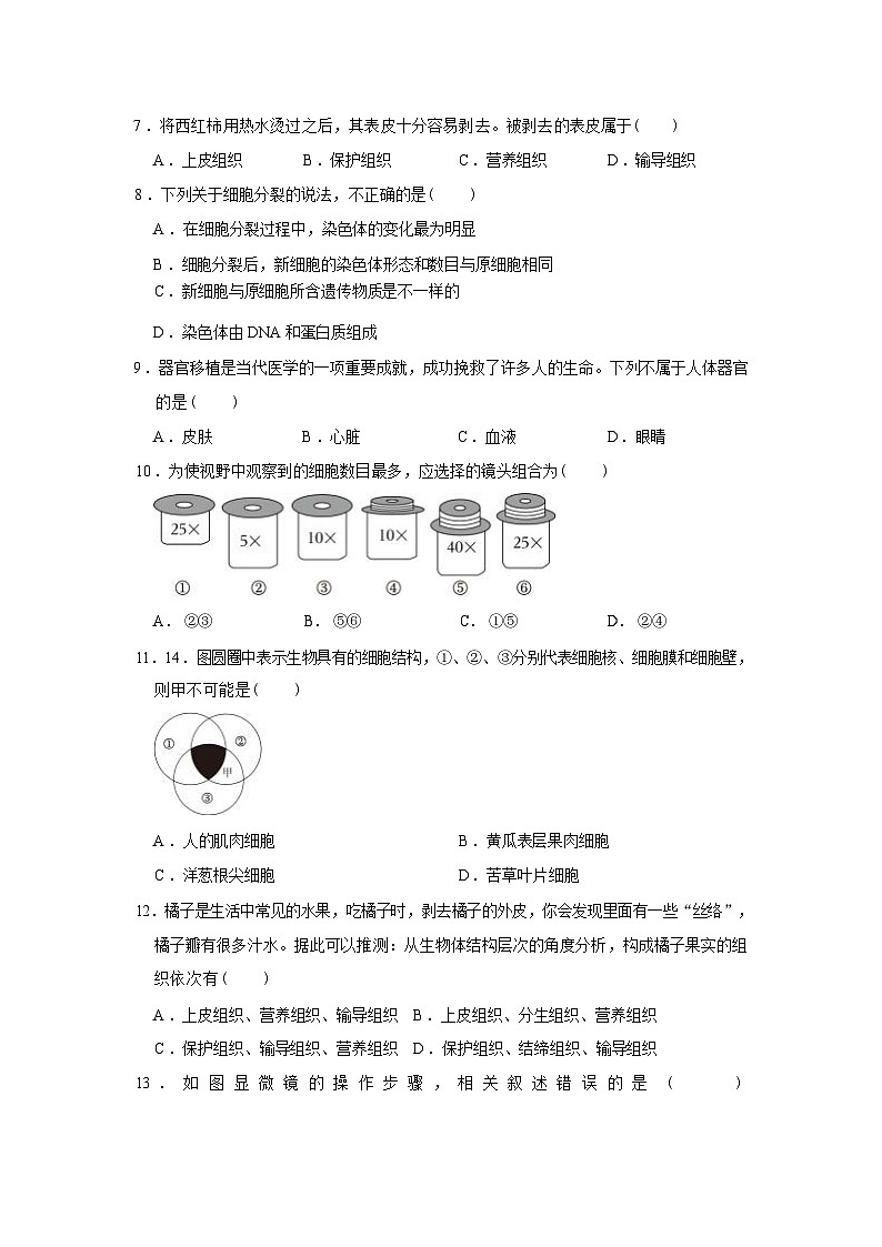 广东省兴宁市第一中学2023-2024学年七年级上学期期中生物试题02