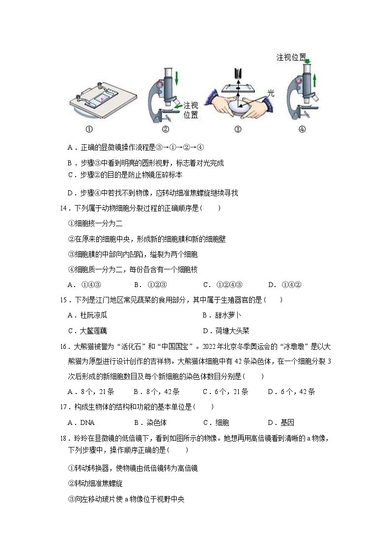 广东省兴宁市第一中学2023-2024学年七年级上学期期中生物试题03