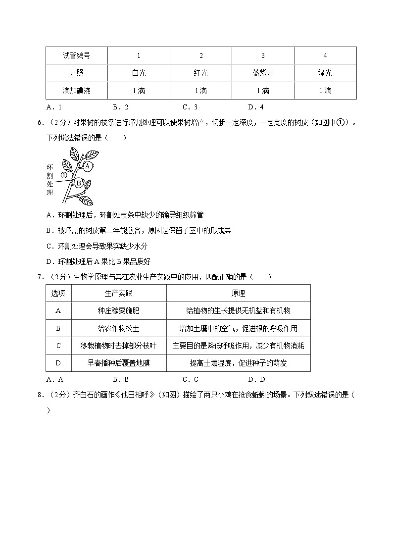 2024年山东省枣庄市峄城区中考生物三模试卷第2页