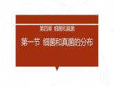 人教课标版八年级生物学（上）5.4.1 细菌和真菌的分布课件