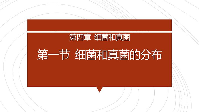 人教课标版八年级生物学（上）5.4.1 细菌和真菌的分布课件01