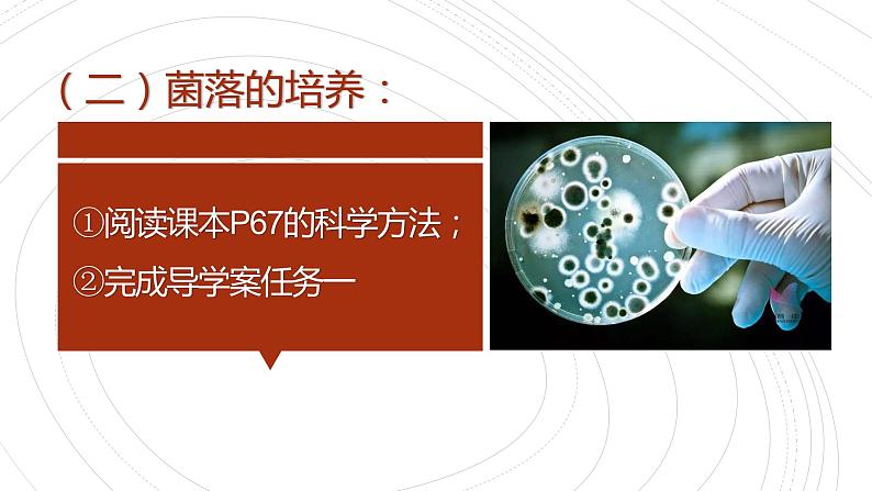 人教课标版八年级生物学（上）5.4.1 细菌和真菌的分布课件07