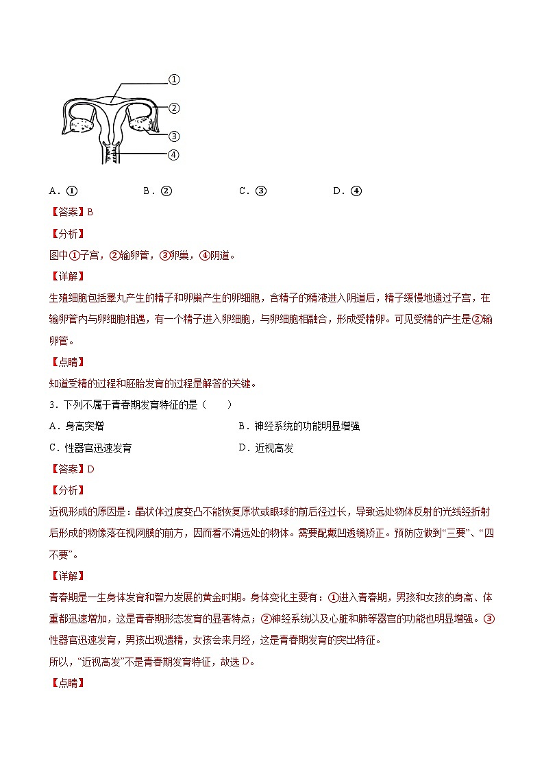 人教版七年级下学期生物期末押题02-（人教版）（解析版）第2页