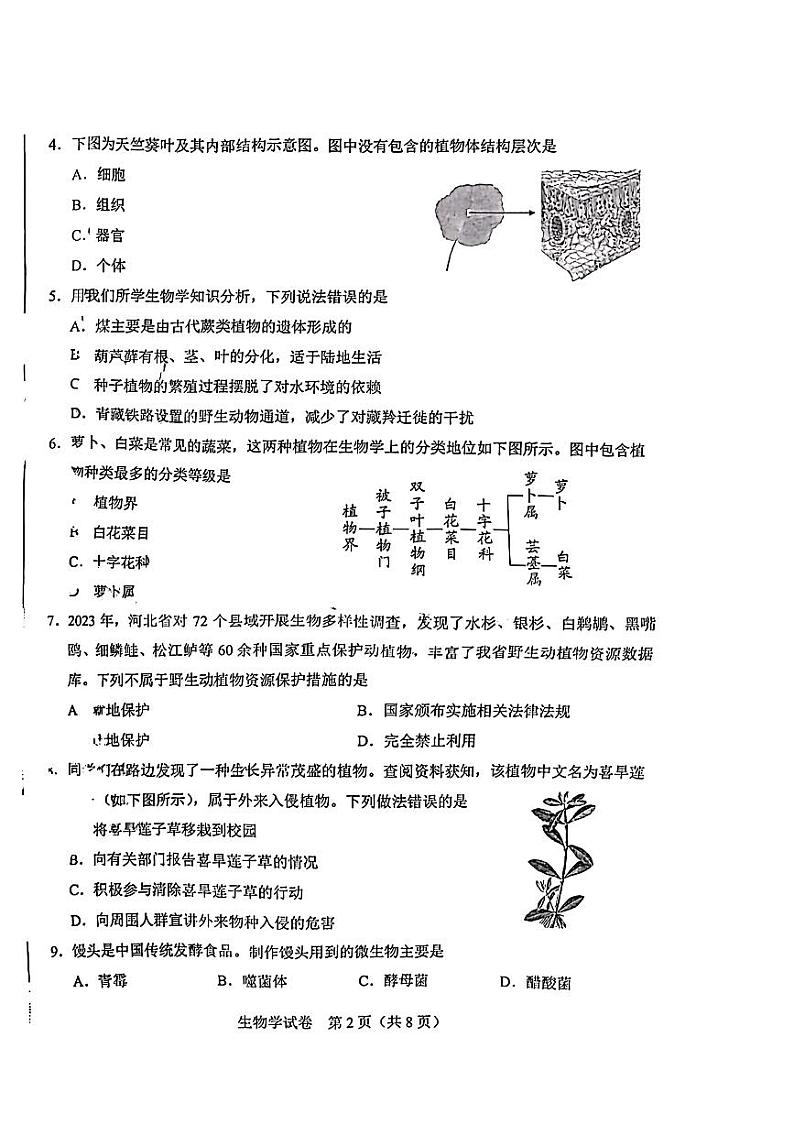 2024年河北省中考生物试题02