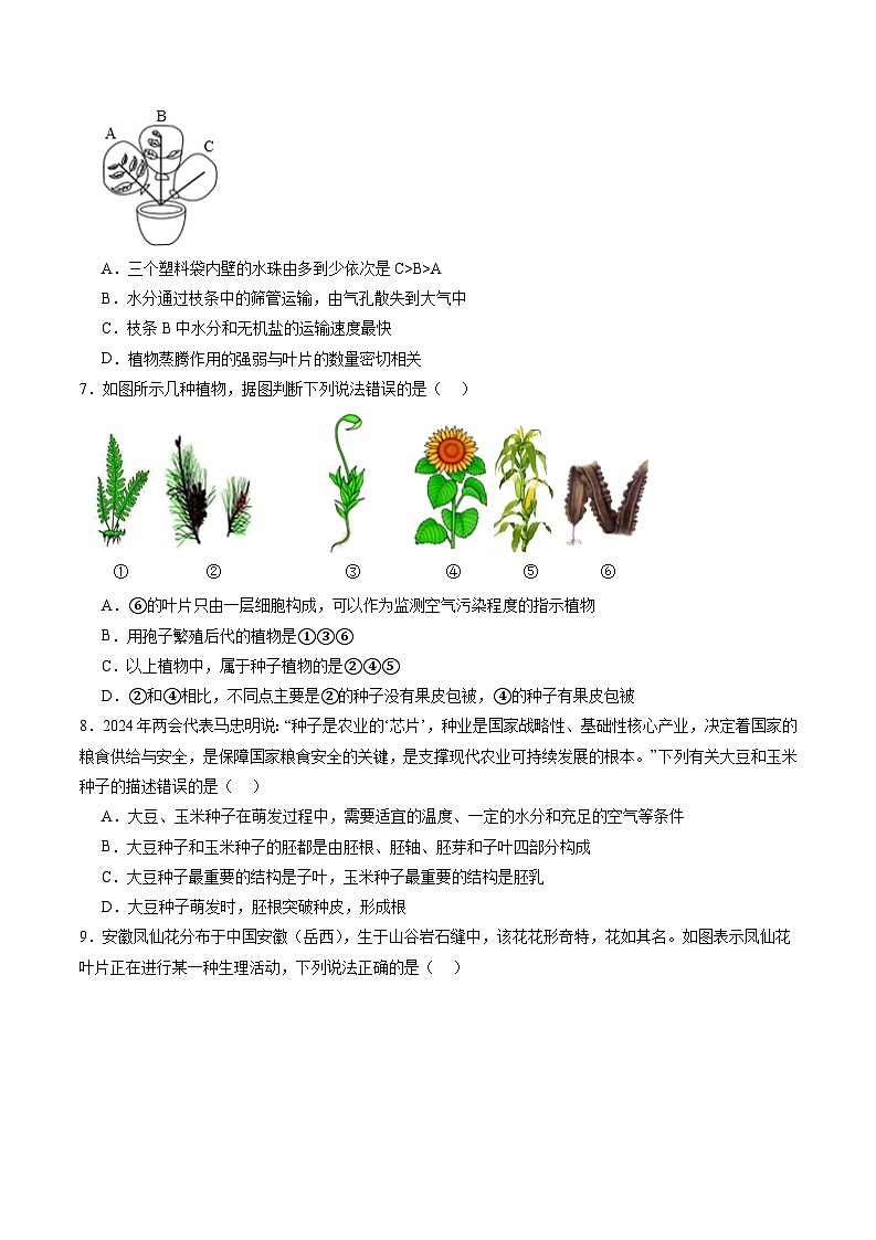备战2024年中考生物临考押题卷（全国通用01）（原卷版+解析版）02