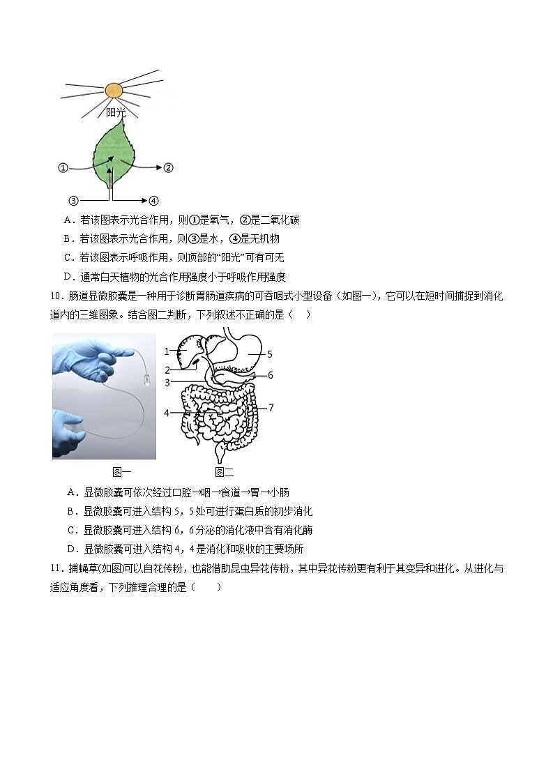 备战2024年中考生物临考押题卷（全国通用01）（原卷版+解析版）03