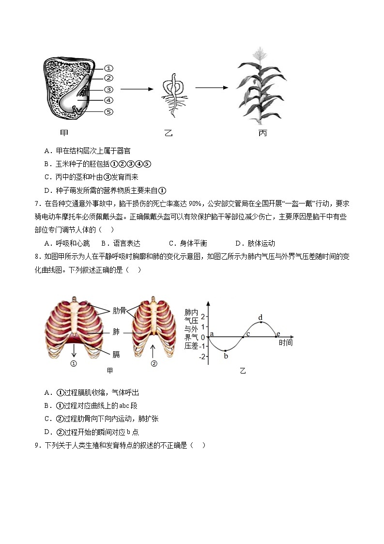备战2024年中考生物临考押题卷（全国通用02）（原卷版+解析版）02