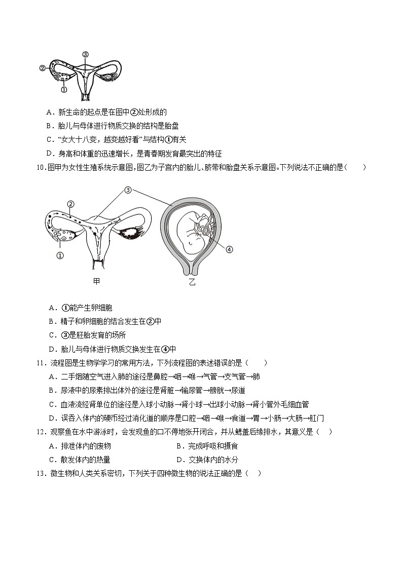 备战2024年中考生物临考押题卷（全国通用02）（原卷版+解析版）03