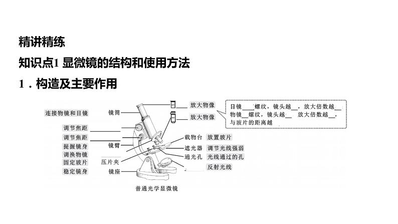 人教版中考生物教材复习课件第3讲显微镜观察细胞的结构第5页