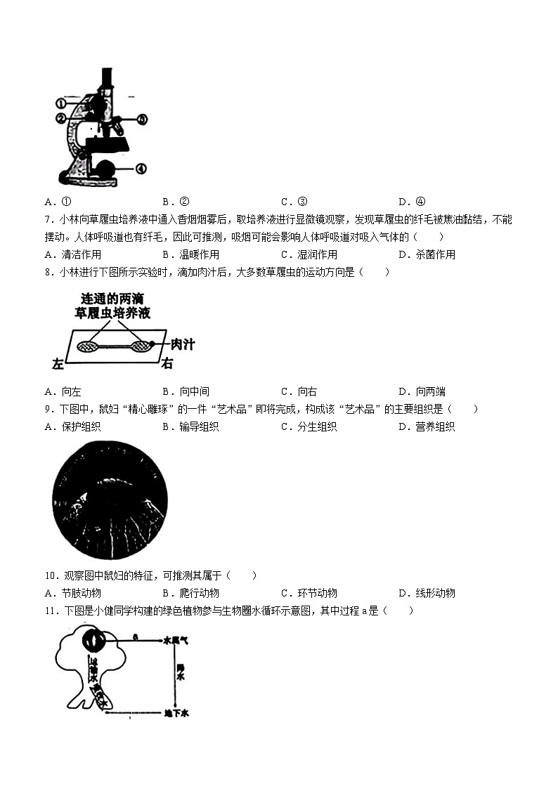 2024年山西省中考考试生物试题02