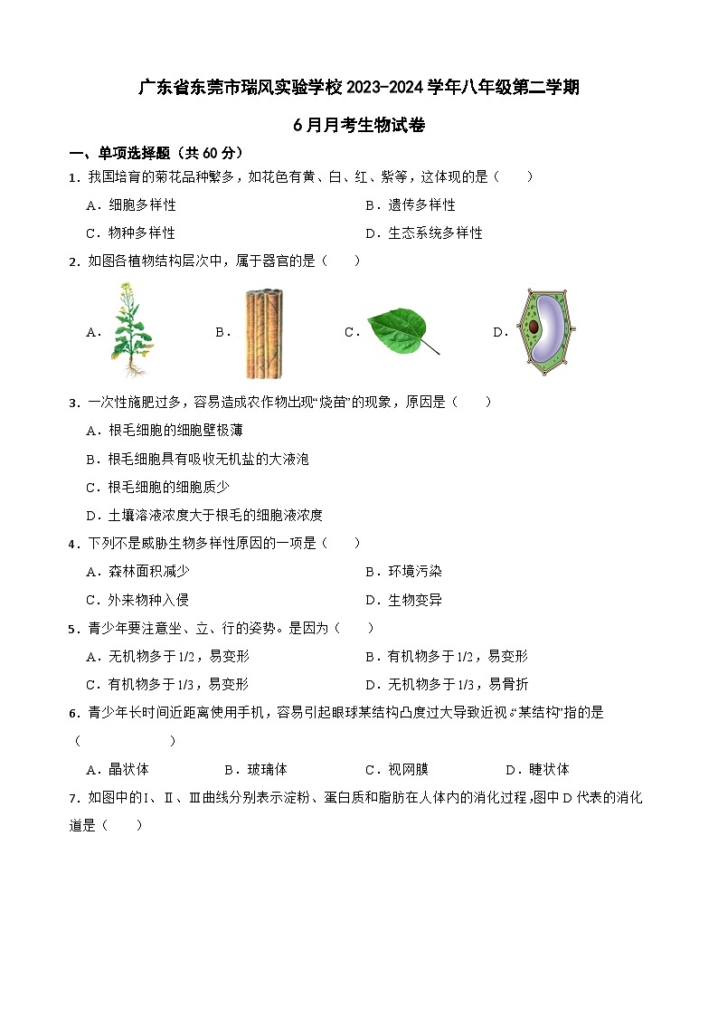 广东省东莞市瑞风实验学校2023-2024学年八年级下学期6月月考生物试卷01