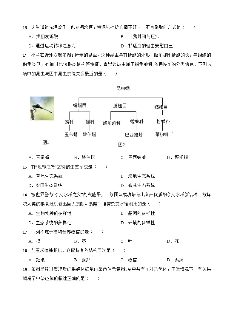广东省东莞市瑞风实验学校2023-2024学年八年级下学期6月月考生物试卷03