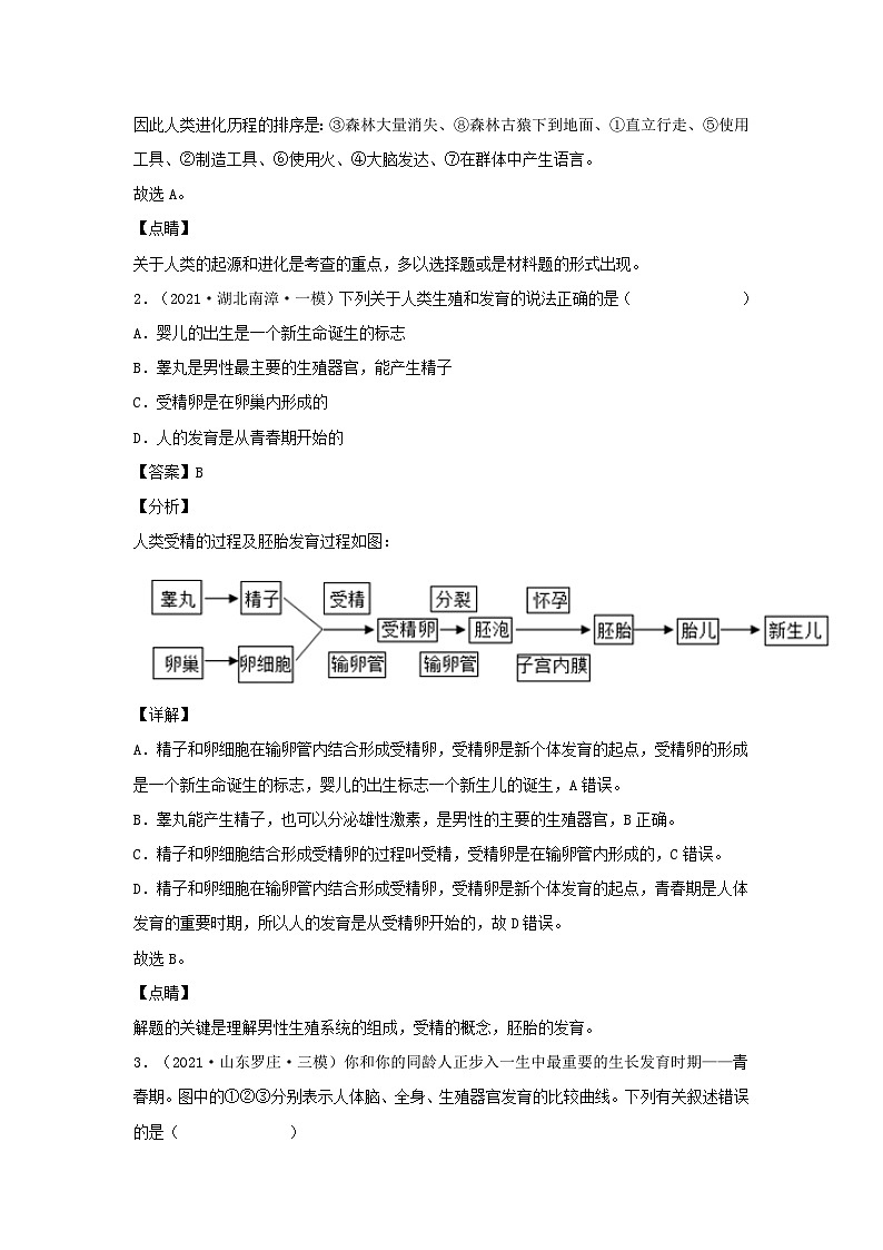 2021-2022学年七年级下册生物期中试卷及答案B卷（人教版）第2页