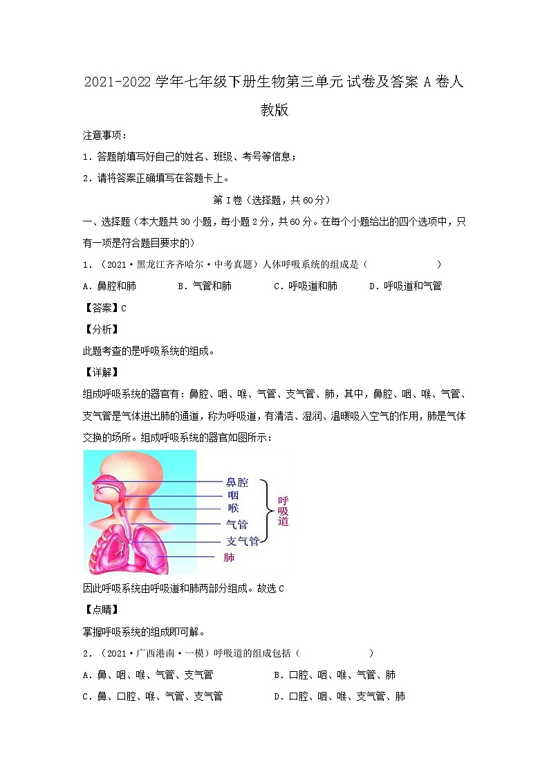 2021-2022学年七年级下册生物第三章试卷及答案A卷（人教版）第1页