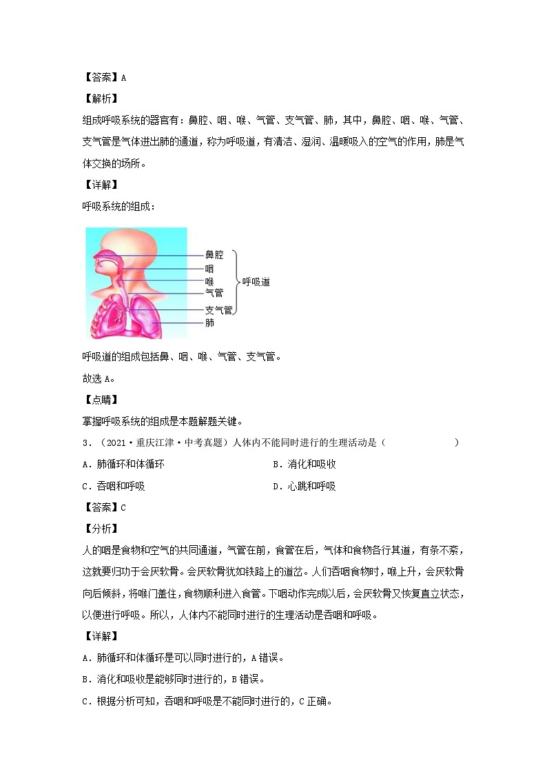 2021-2022学年七年级下册生物第三章试卷及答案A卷（人教版）第2页