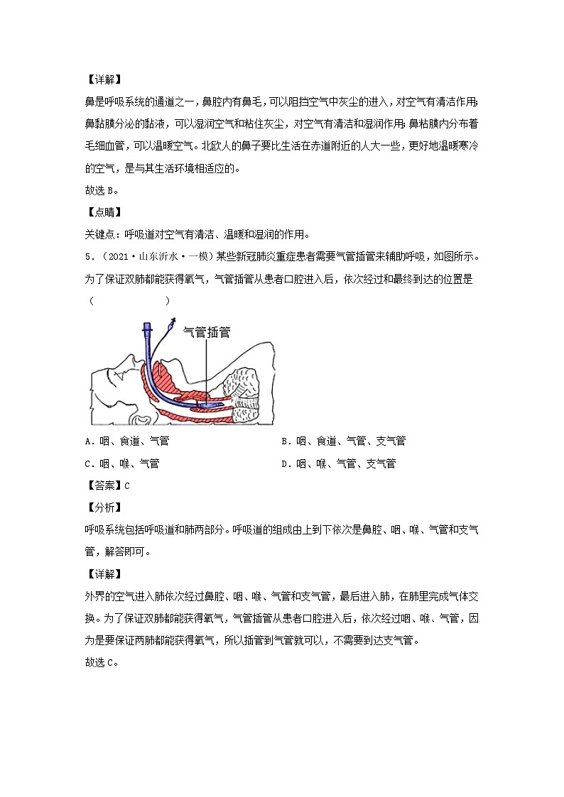 2021-2022学年七年级下册生物第三章试卷及答案B卷（人教版）第3页
