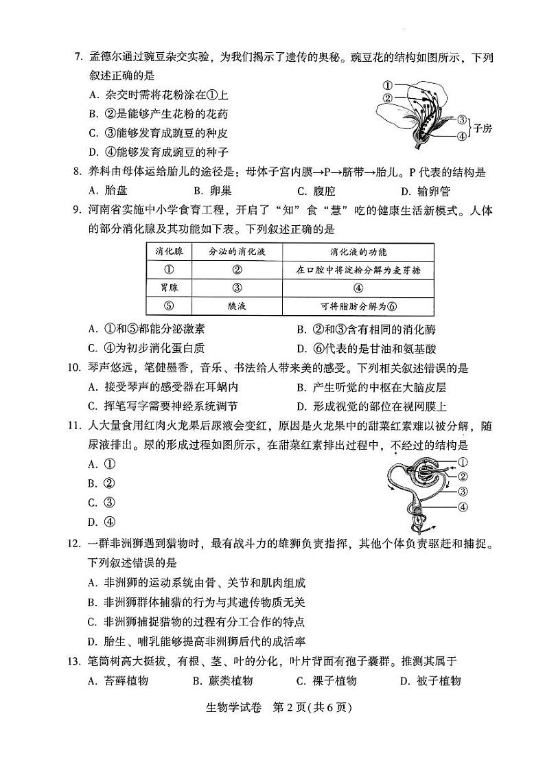 2024年河南省中考生物试题02