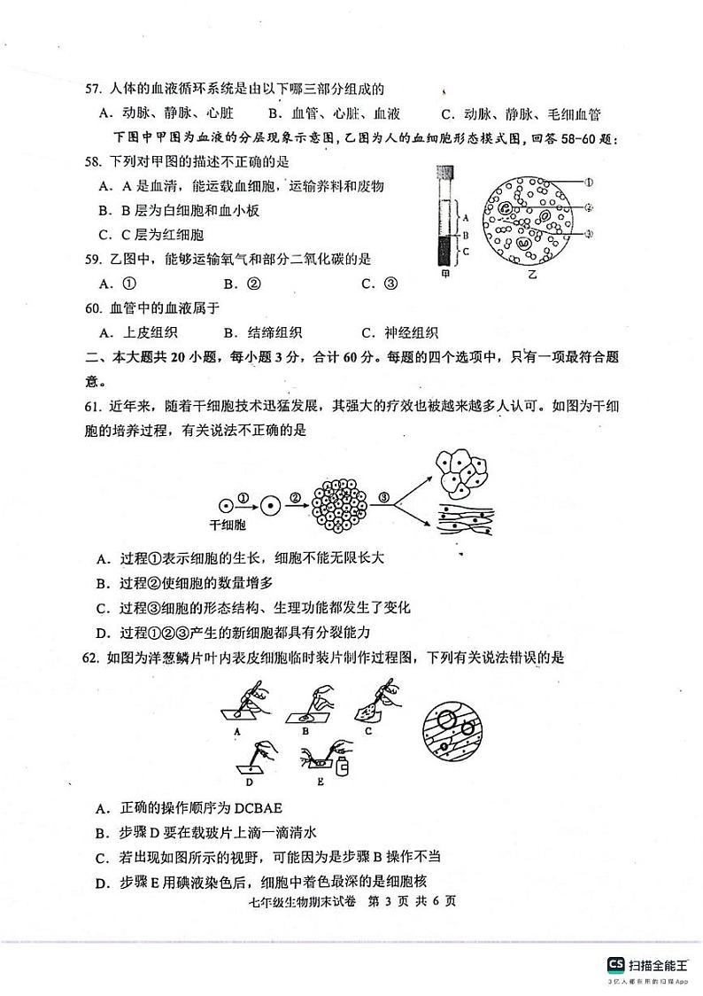 江苏省淮安市涟水县2023-2024学年七年级下学期6月期末生物试题02