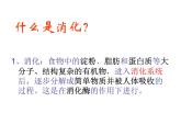 2020-2021学年七年级下册人生物人教版课件  第二章　人体的营养  2.2 生物消化与吸收 (2)