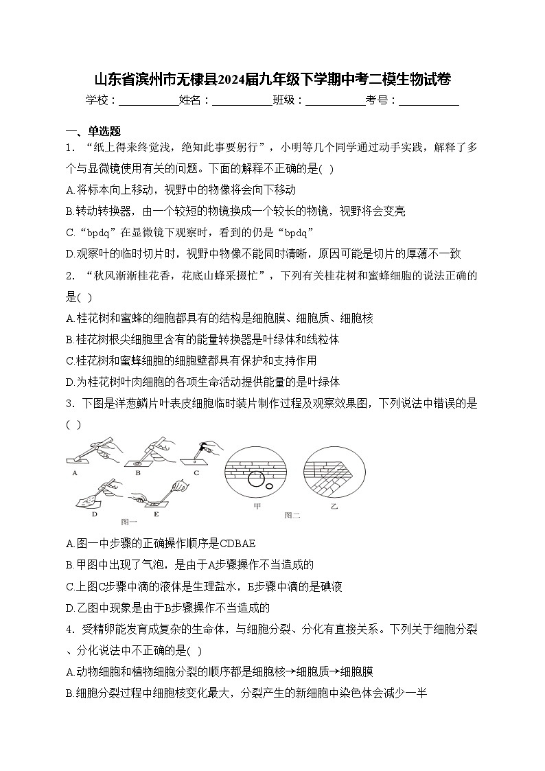 山东省滨州市无棣县2024届九年级下学期中考二模生物试卷(含答案)01