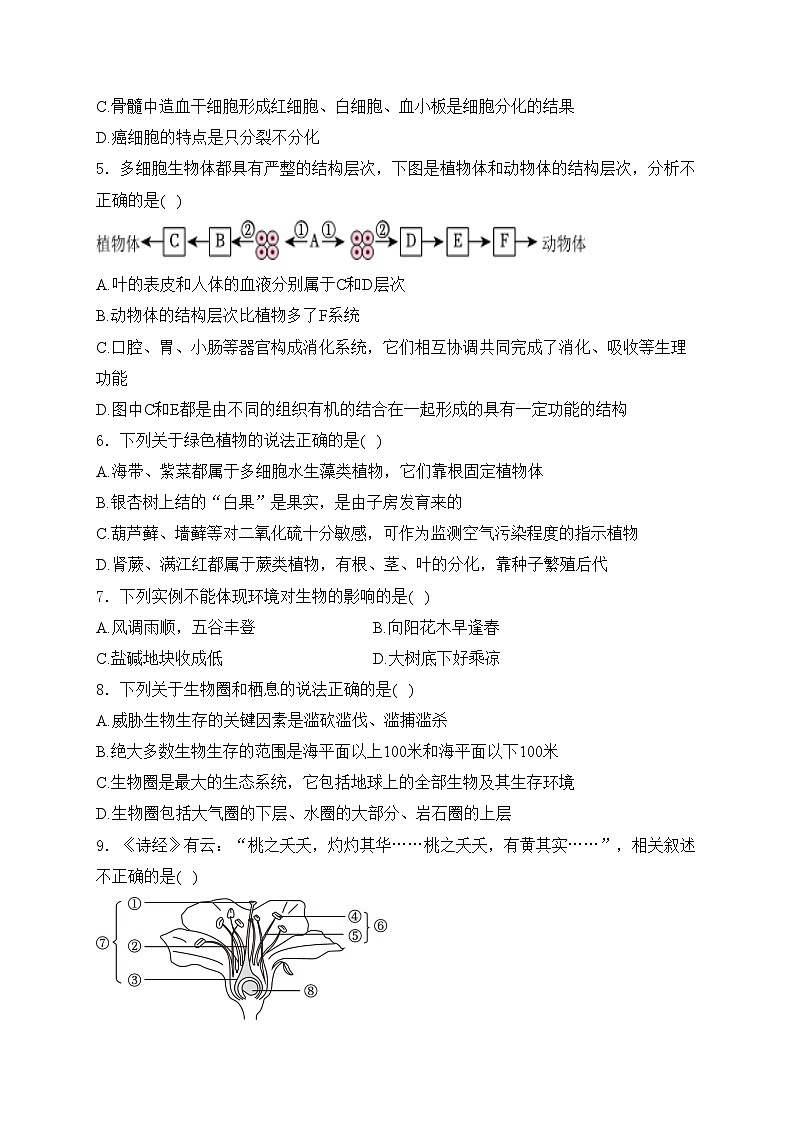 山东省滨州市无棣县2024届九年级下学期中考二模生物试卷(含答案)02