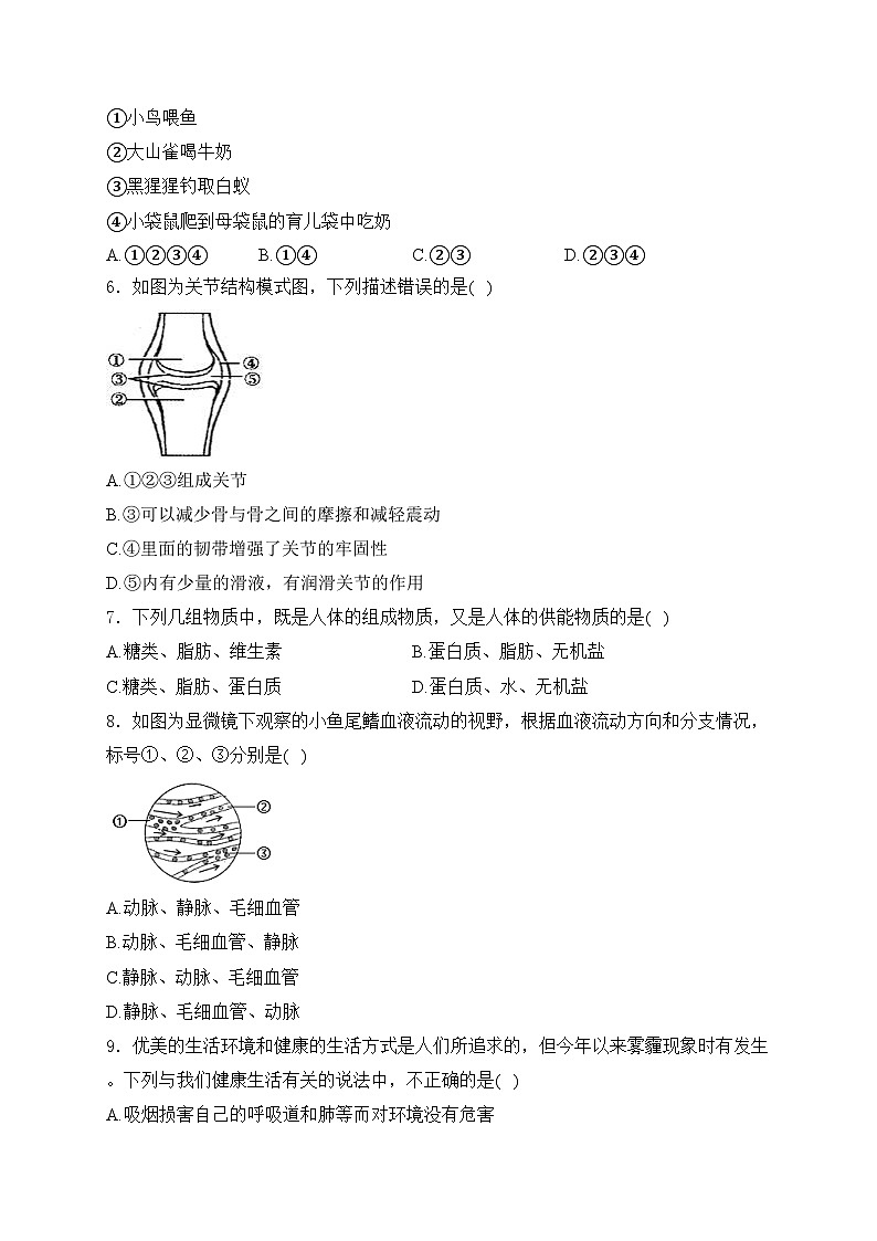 山东省滨州市阳信县2024届九年级下学期中考二模生物试卷(含答案)02