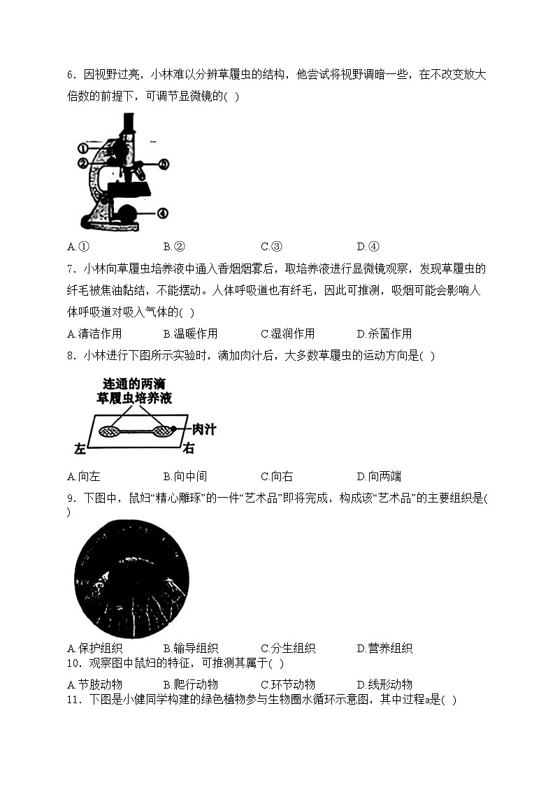 山西省2024届中考考试生物试卷(含答案)02