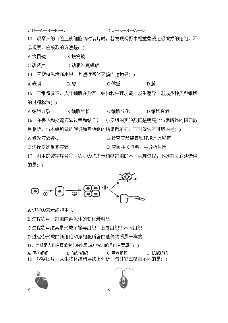 山西省吕梁市孝义市2023-2024学年七年级上学期期中质量监测生物试卷(含答案)03