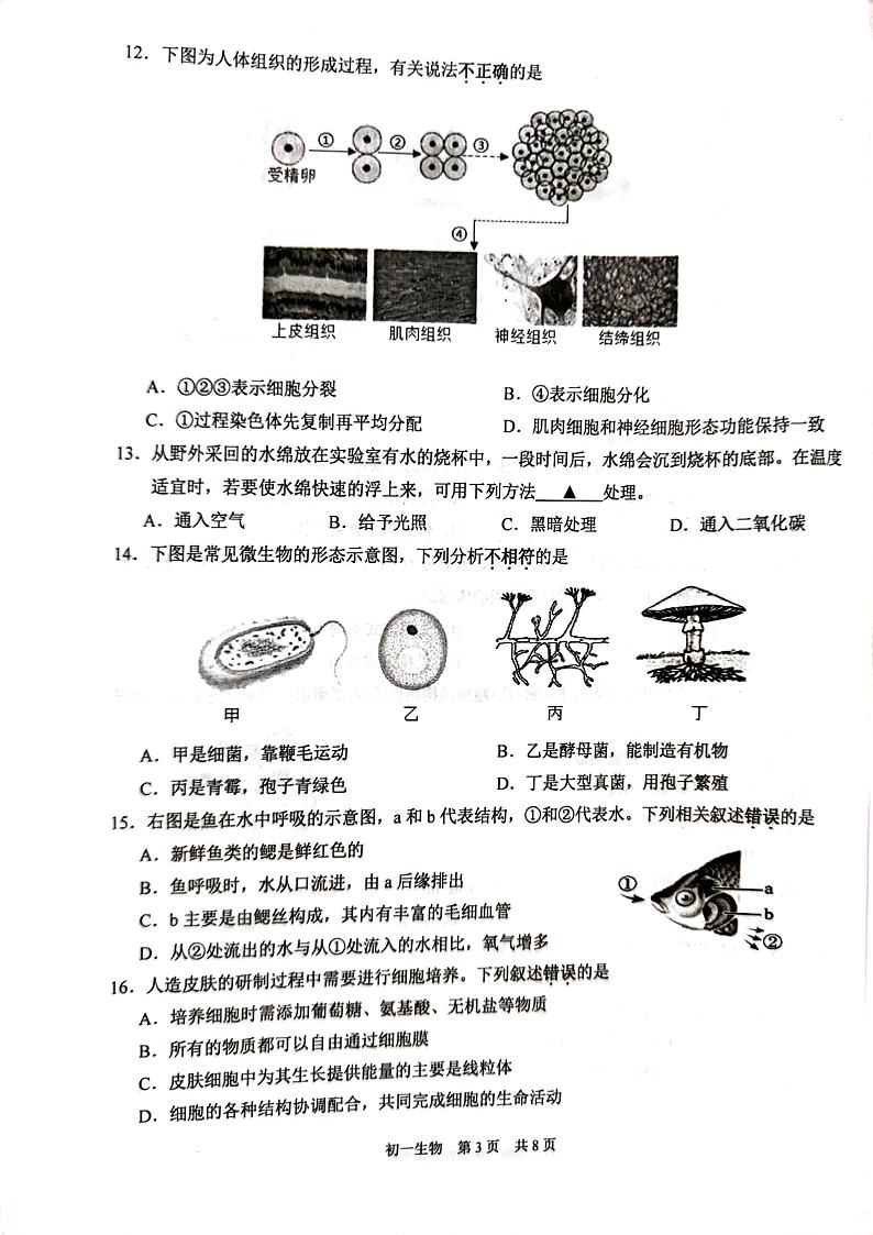 江苏省苏州市吴江区2023-2024学年七年级下学期6月期末生物试题03