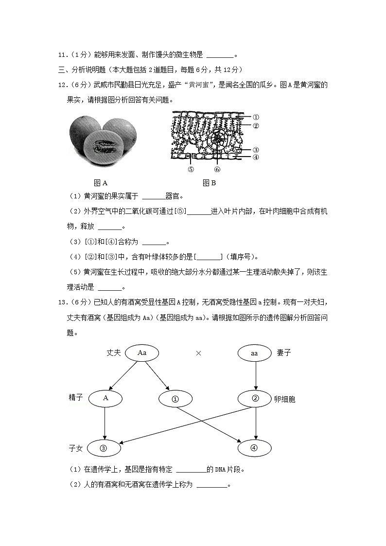2021年甘肃省金昌中考真题生物真题及答案02