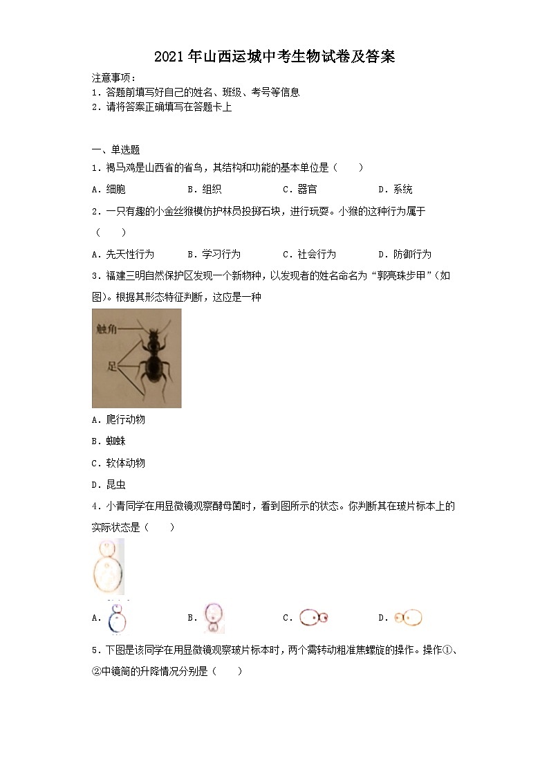 2021年山西运城中考真题生物试卷及答案01