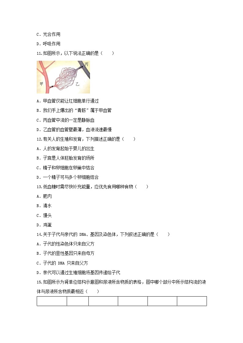 2021年广东深圳市中考真题生物试卷及答案03