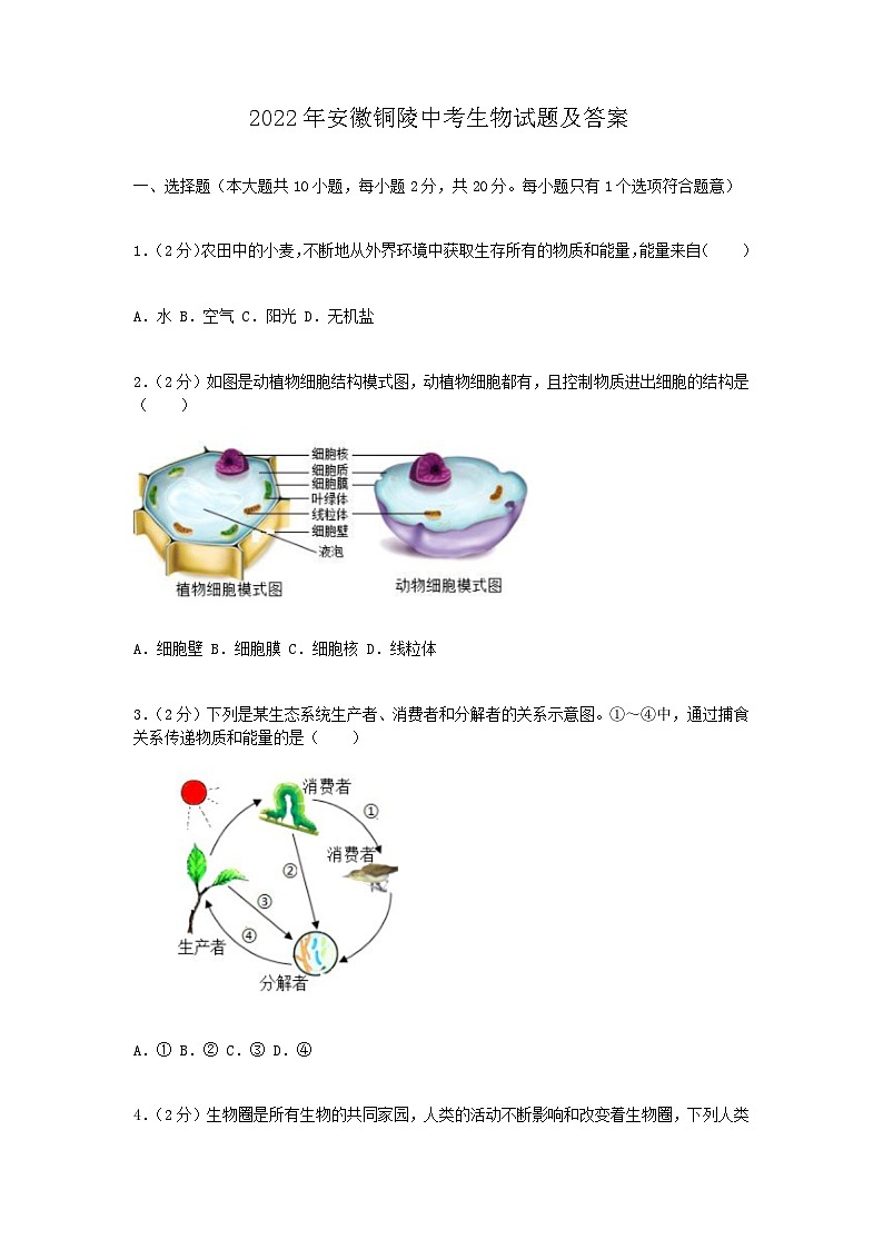 2022年安徽铜陵中考真题生物试题及答案01