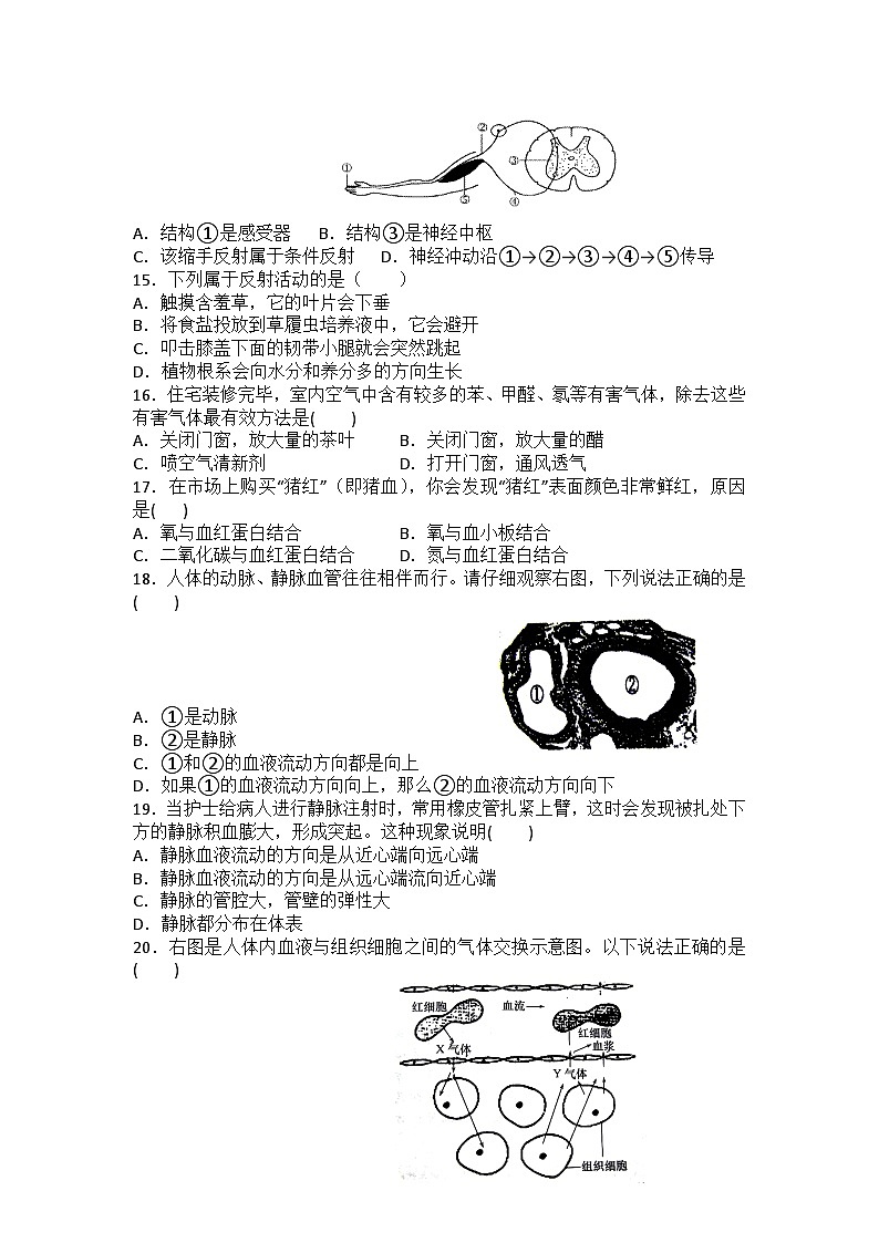 2023-2024学年人教版生物学七年级下册期末复习测试题（含答案）第2页