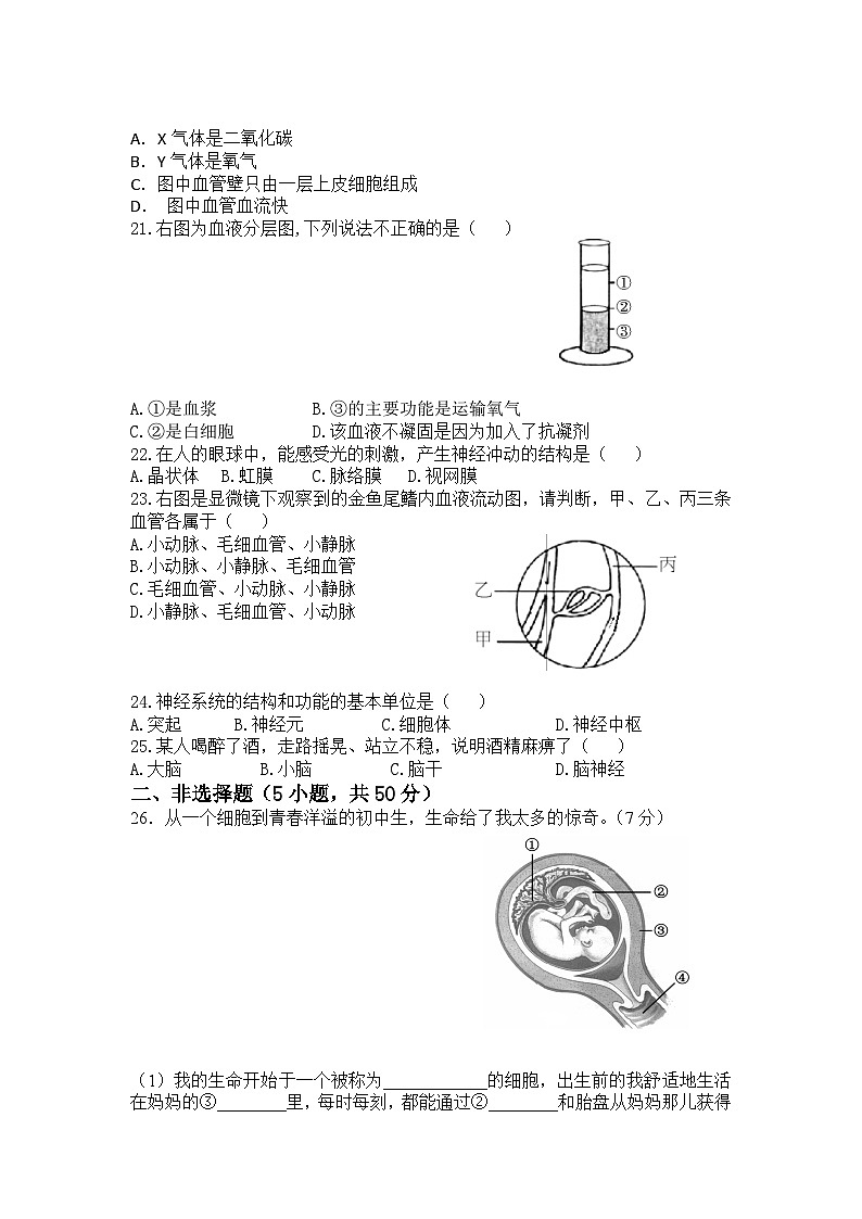 2023-2024学年人教版生物学七年级下册期末复习测试题（含答案）第3页