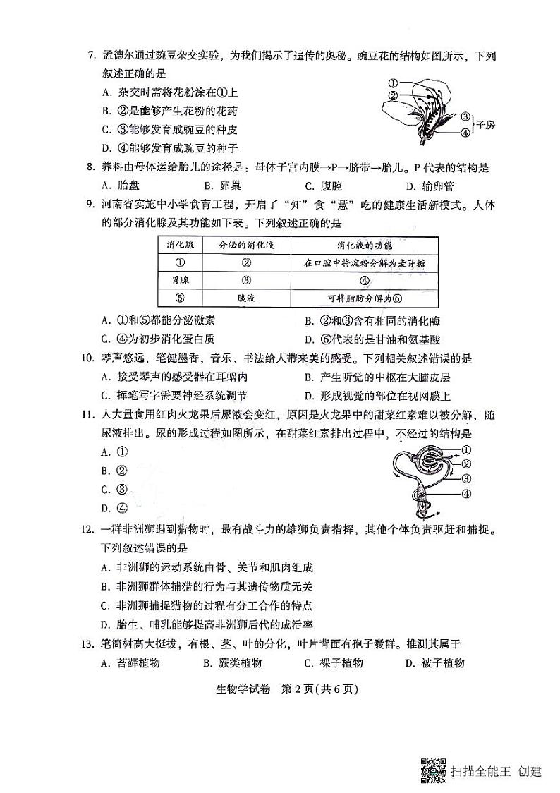 2024河南中考生物真题及答案02