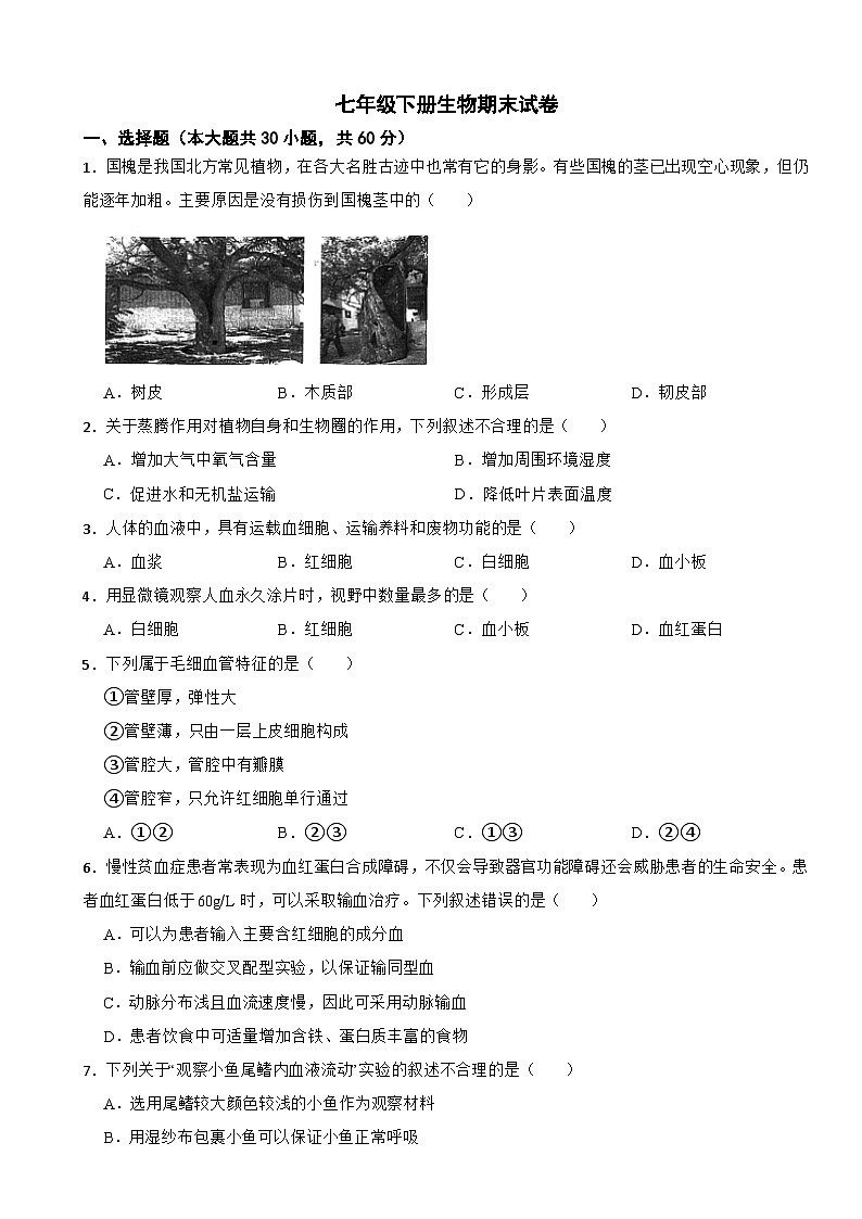 北京市朝阳区2024年七年级下册生物期末试卷（附答案）第1页