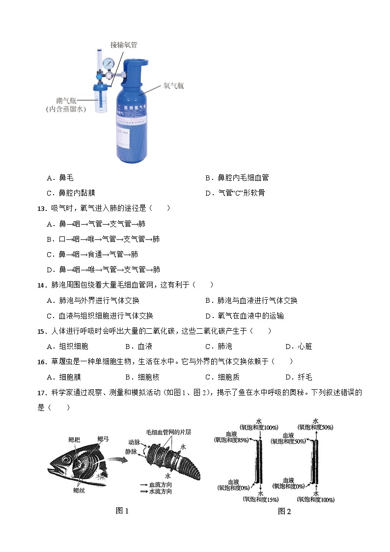 北京市朝阳区2024年七年级下册生物期末试卷（附答案）第3页