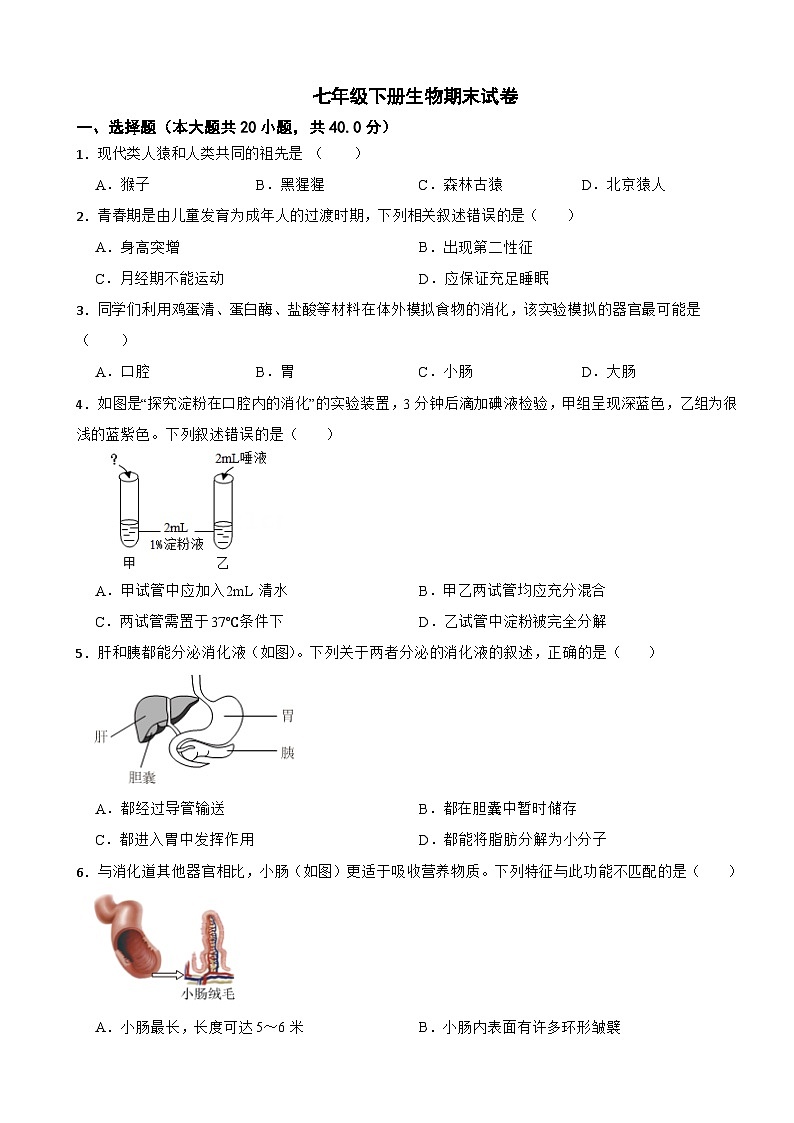 北京市海淀区2024年七年级下册生物期末试卷（附答案）第1页