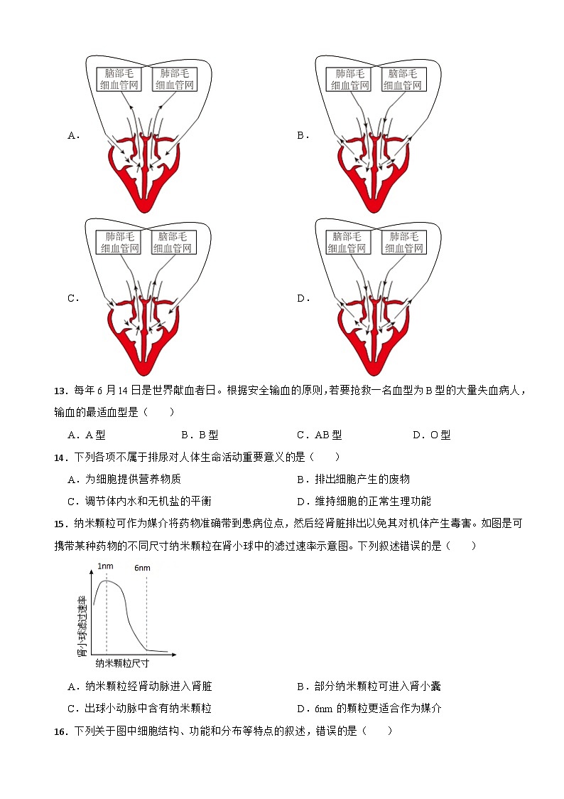北京市海淀区2024年七年级下册生物期末试卷（附答案）第3页