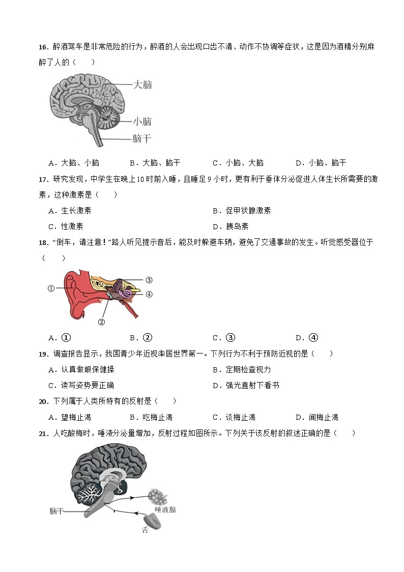 福建省福州市2024年七年级下册生物期末试卷（附答案）第3页