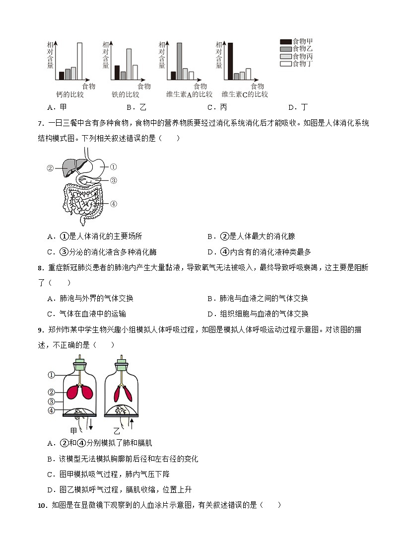 河南省郑州市2024年七年级下册生物期末试卷（附答案）第2页