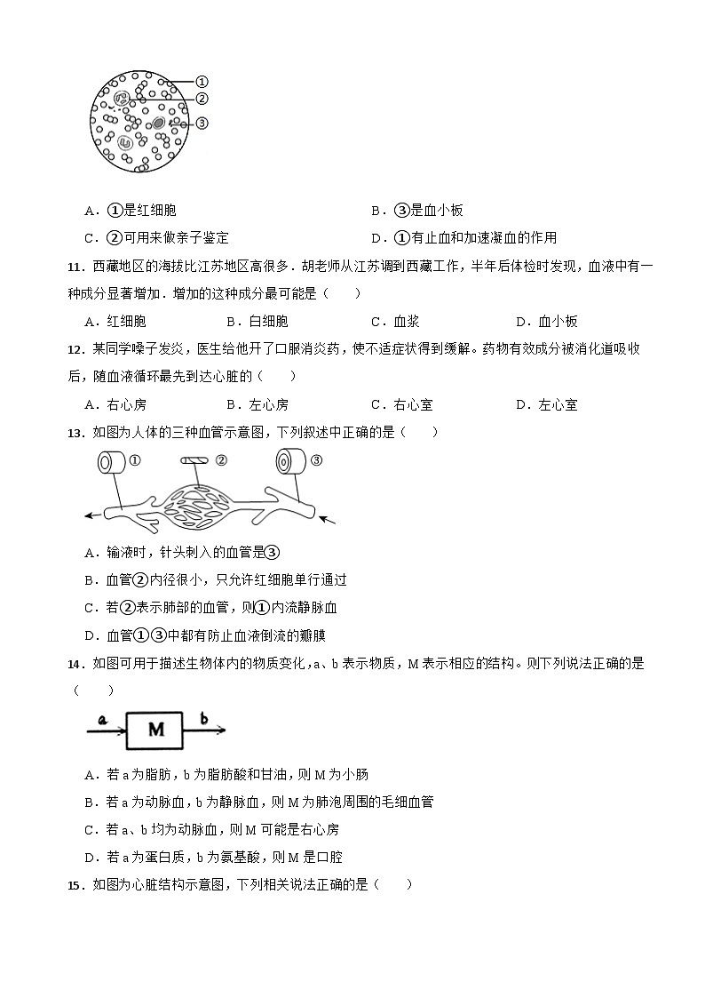 河南省郑州市2024年七年级下册生物期末试卷（附答案）第3页