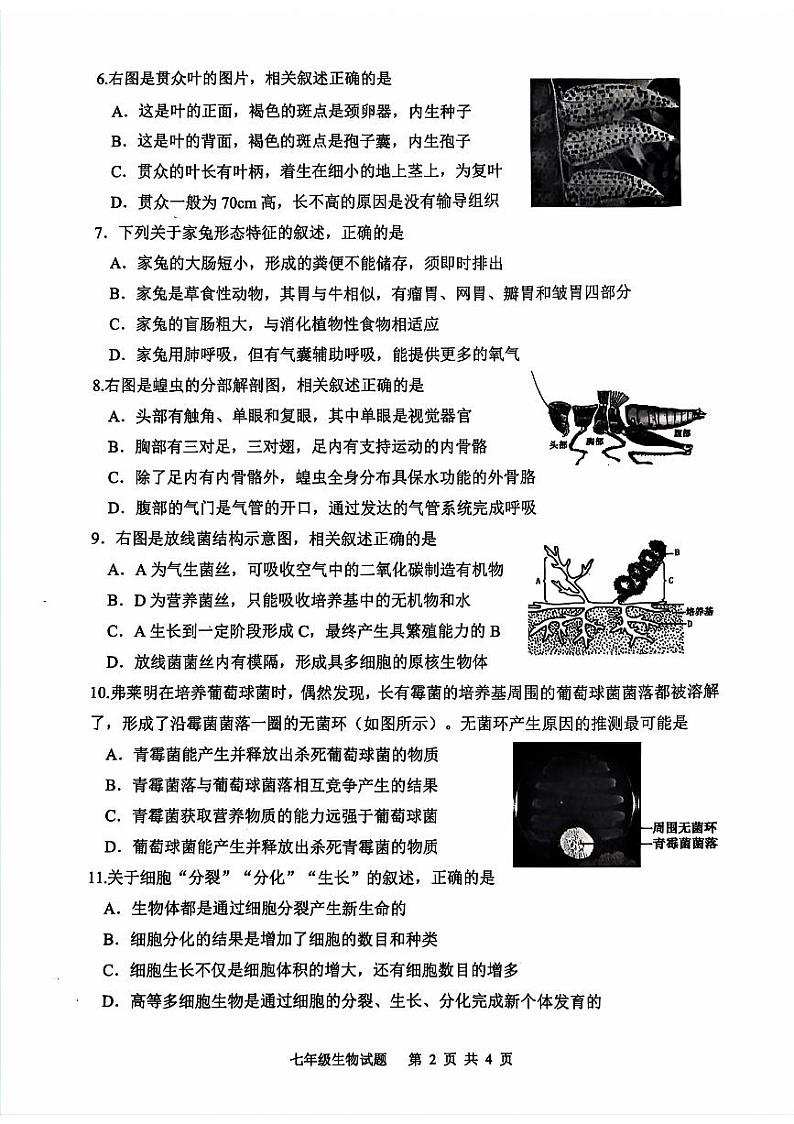 江苏省连云港市灌南县2023-2024学年七年级下学期生物期末试题02