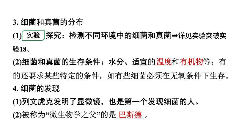 2024广东中考生物二轮中考考点研究 第18讲 细菌、真菌和病毒（课件）第5页