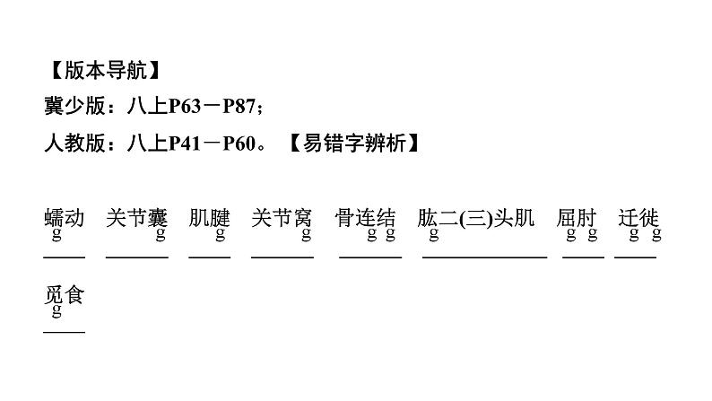 2024广西中考生物二轮中考考点研究 主题五 动物的运动和行为 （课件）02