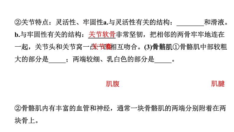 2024广西中考生物二轮中考考点研究 主题五 动物的运动和行为 （课件）06